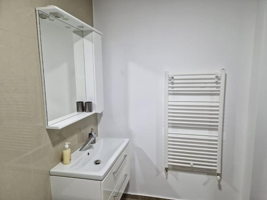 BrăilaDanube Doubleアパートメント エクステリア 写真